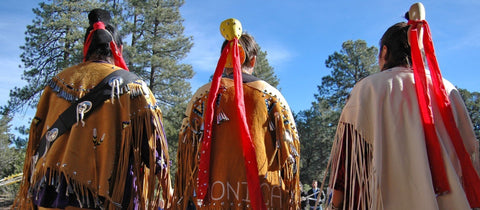 Fund the Indigenous Environmental Network