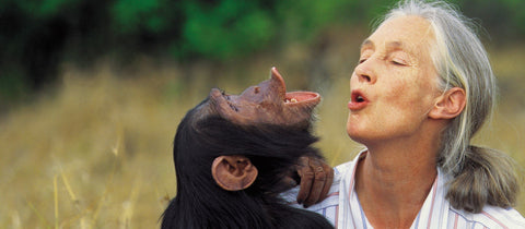 Support Social and Scientific Thinkers