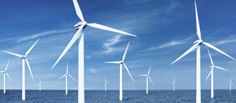 Support the Planet Pledge Fund