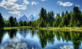 Greeting Card for Protect the Giant Sequoia National Monument