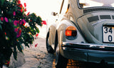 e-Card for Preserve the Cook Islands