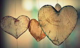 Greeting Card for Support California Wildlife Center