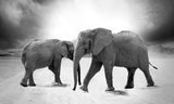 Greeting Card for Save Amboseli's Elephants